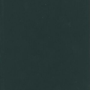 (SOLD): d'AGATA, Antoine.  Angkor.