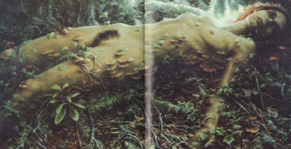 JANSSEN, Anya.  Animal. - Image 2