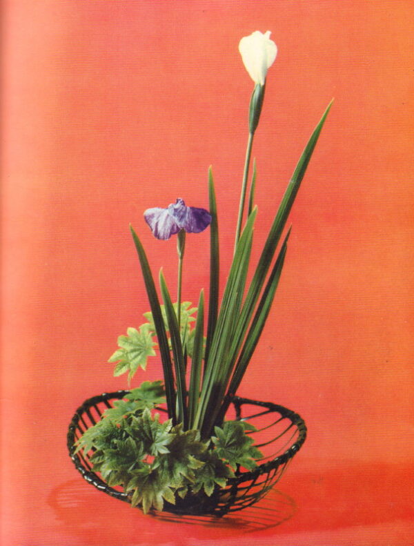 TESHIGAHARA, Sofu.  Best of Ikebana. - Image 6