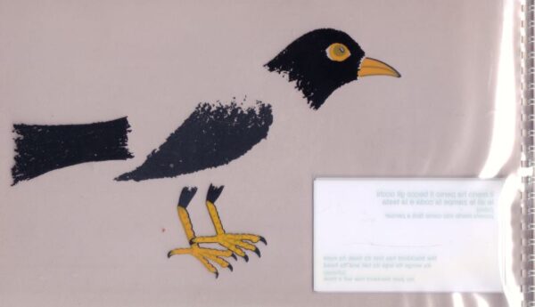 MUNARI, Bruno.  Il Merlo ha Perso il Becco / The Blackbird has Lost its Beak. - Image 4