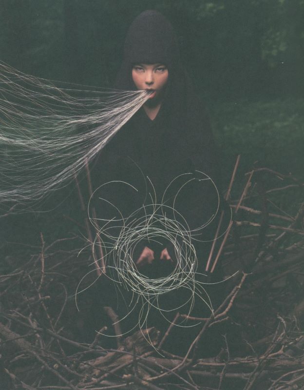 Björk: A Project. - Image 8