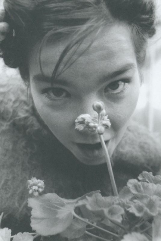 Björk: A Project. - Image 9