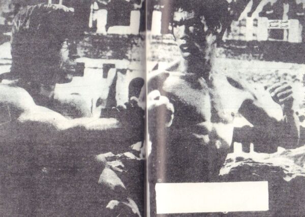 (SOLD): BRUNI, Dimitri and Manuel KREBS.  Bruce Lee. - Image 4