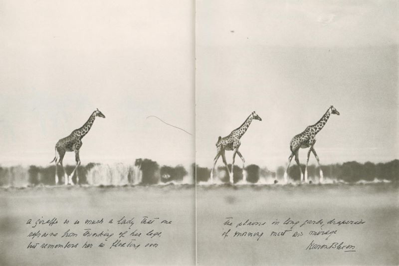 BEARD, Peter. Longing for Darkness: Kamantes Tales from Out of Africa. - Image 8