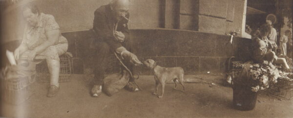 MIHAILOV, Boris.  After the Fall. - Image 2