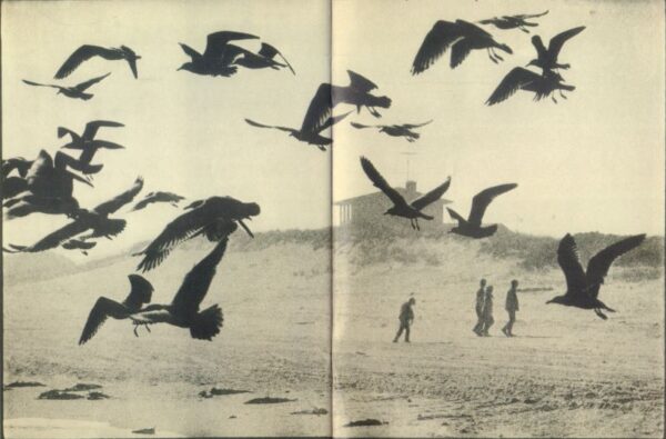 BURRI, Rene.  Comme des Garcons. - Image 5