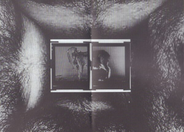 LANG, Helmut.  Burry. - Image 2
