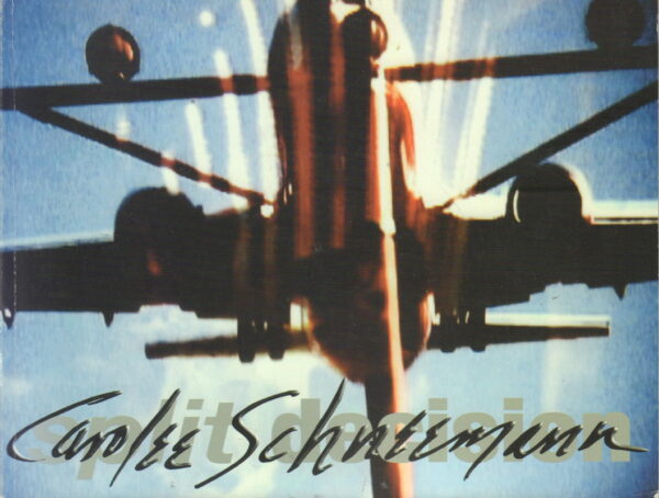 SCHNEEMANN, Carolee.  Split Decision.