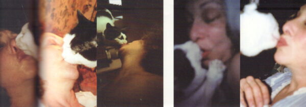 SCHNEEMANN, Carolee.  Split Decision. - Image 5