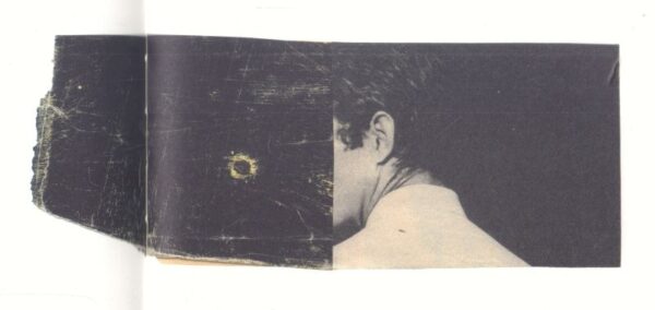 (SOLD): De BLAUWER, Katrien.  Why I Hate Cars. - Image 5