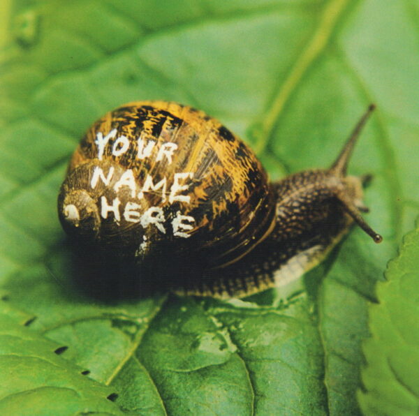 SCHERF, Jone Elissa and George St. ANDREWS.  Make Your Dreams Come True: Young British Photography. - Image 3
