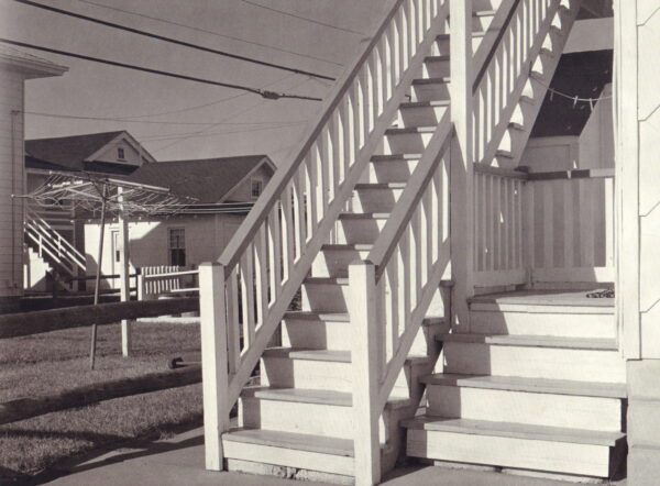 CONNIFF, Gregory.  Common Ground: An American Field Guide Volume 1. - Image 3