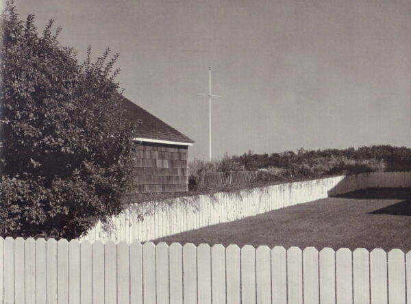 CONNIFF, Gregory.  Common Ground: An American Field Guide Volume 1. - Image 5