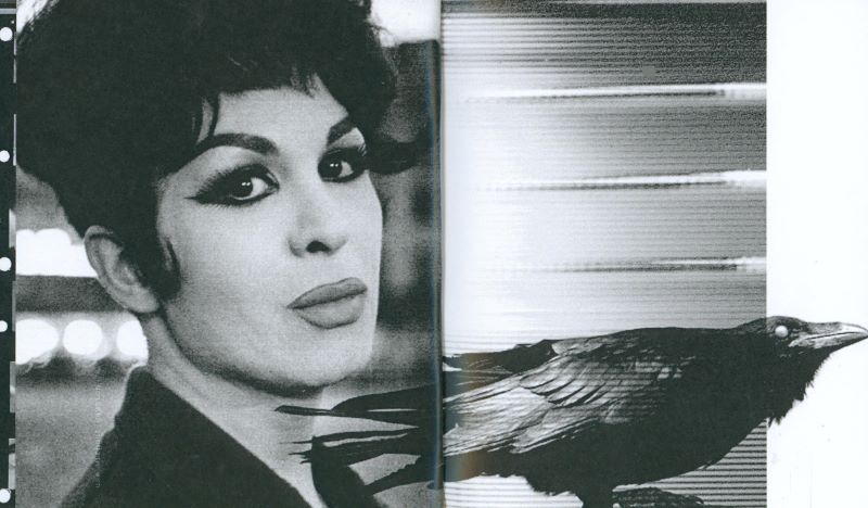 PAT McGRATH LABS. Dark Star. Issue 006. - Image 5