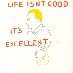 ROBILLIARD, David. Life isn't Good it's Excellent.