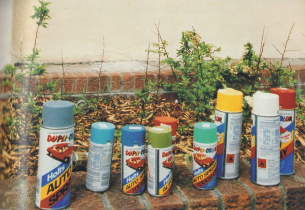 BEEZER. Wild Dayz. - Image 6