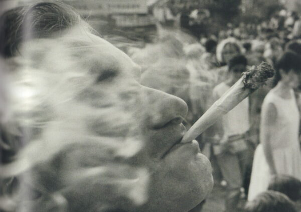 BEEZER. Wild Dayz. - Image 9