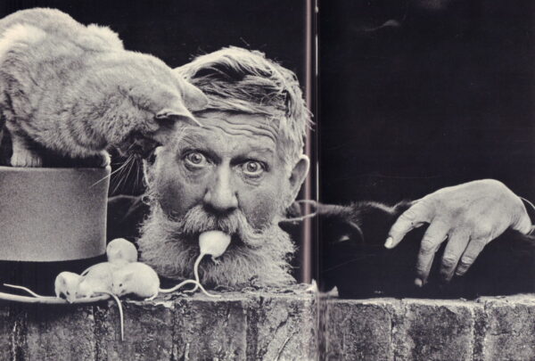 Donald McCullin. - Image 5