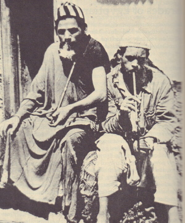 DRAKE Jr., William Daniel.  The International Cultivator's Handbook. - Image 2