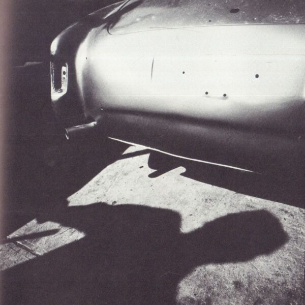 FELDSTEIN, Mark.  Sightings. - Image 4