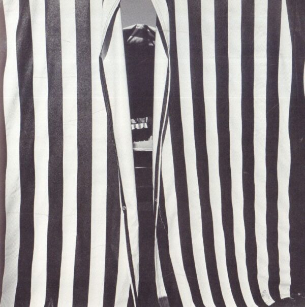 FELDSTEIN, Mark.  Sightings. - Image 5