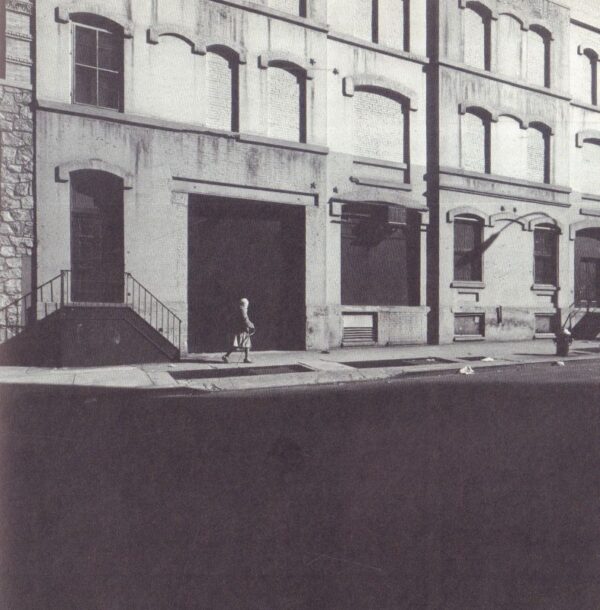 FELDSTEIN, Mark.  Sightings. - Image 6