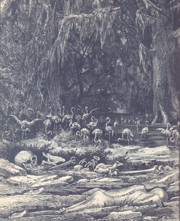 LUDLOW, Fitz Hugh.  The Hasheesh Eater. - Image 3