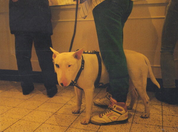 HASHIGUCHI, George.  Freedom. - Image 7