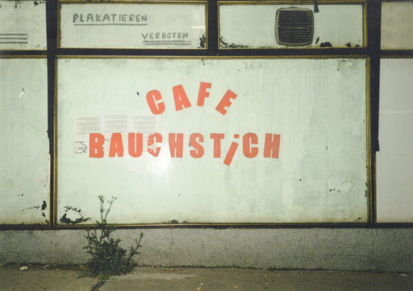 PICHLER, Klaus and Clemens Marschall.  Golden Days Before They End. - Image 2