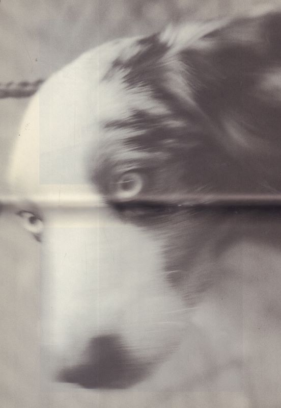 RUBCHINSKIY, Gosha. The Day Of My Death. - Cult Jones