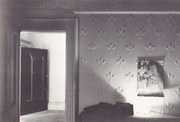HARE, Chauncey.  Interior America. - Image 2