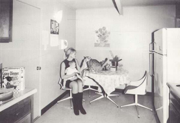 HARE, Chauncey.  Interior America. - Image 7