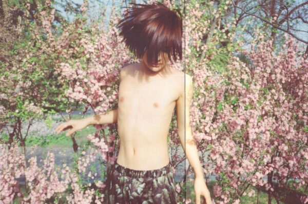 No.223.  Hidden Track. - Image 4