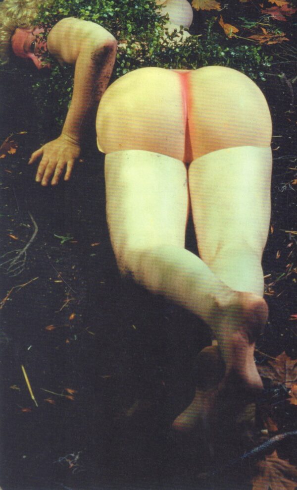 SHERMAN, Cindy.  Untitled Horrors. - Image 6