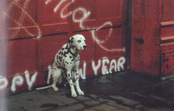 HORVAT, Frank.  New York Up&Down. - Image 7