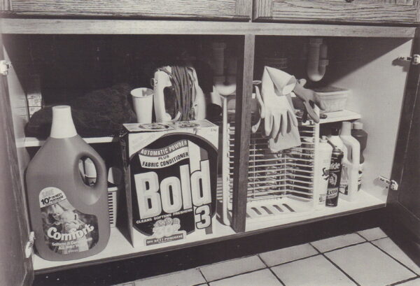 TAYLOR, John R.J. Ideal Home: A Detached Look at Modern Living. - Image 8