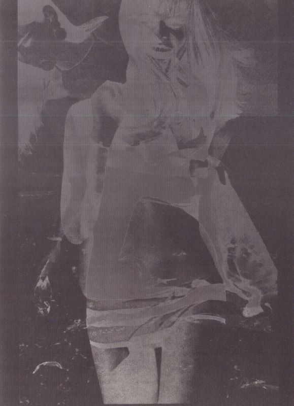 GAUSS, Kathleen McCARTHY. Inventories and Transformations: The Photographies of Thomas Barrow. - Image 4