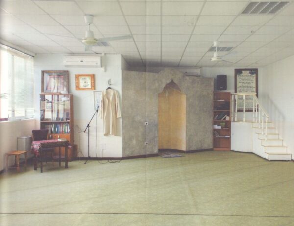 DEGIORGIS, Nicolo. Hidden Islam. - Image 11