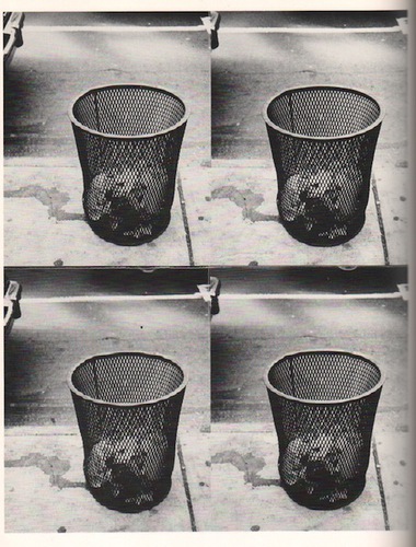 KOCH, Stephen. Andy Warhol Photographs.