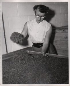 WITT, Frank. Spotlite: Self-Lighting Cigarettes.