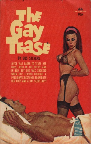 STEVENS, Gus. The Gay Tease.
