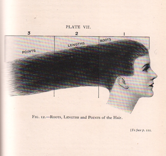 REDGROVE, H. Stanley and Gilbert A. Foan. Blonde or Brunette: The Art of Hair Dying.