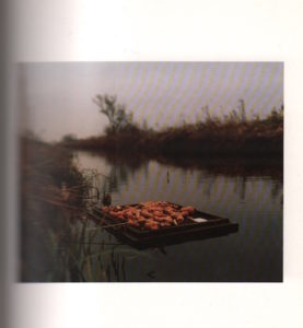 SOUTHAM, Jem. The Raft of Carrots.