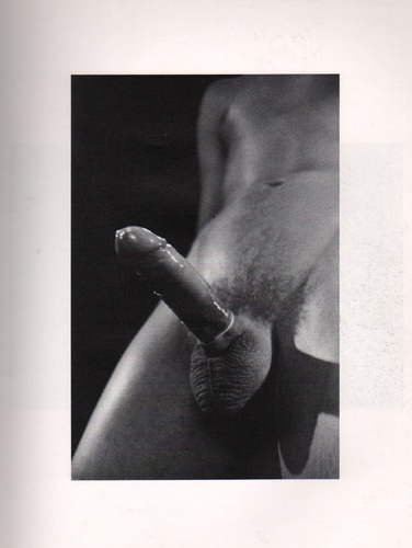 SPECK, Wieland and CANE, Harry. The Safer Sex Photobook: Photographs and videoprints.