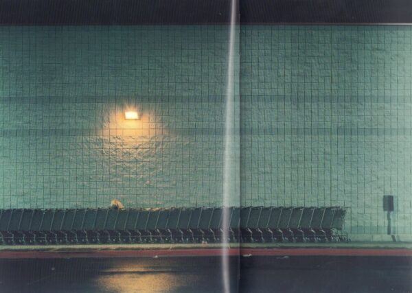 KANDER, Nadav. Beauty's Nothing. - Image 4