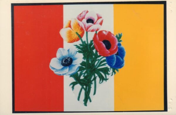 Kenzo. - Image 2