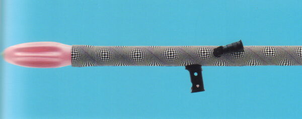 RIELLO, Antonio.  Ladies Weapons. - Image 6