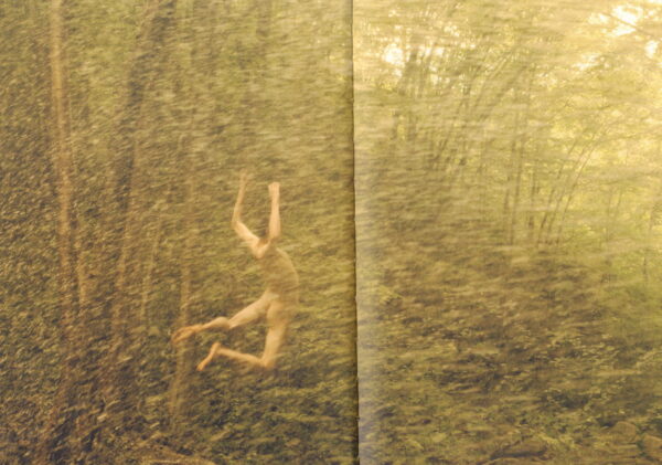 McGINLEY, Ryan. Life Adjustment Center - Image 7