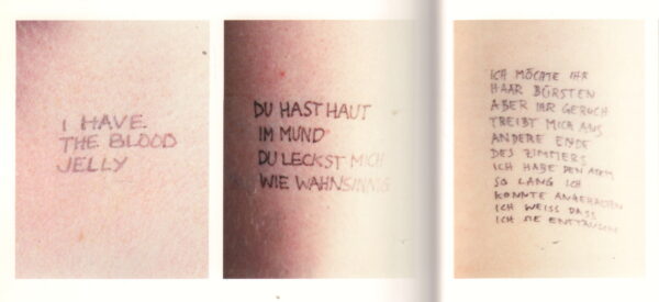 HOLZER, Jenny.  Lustmord. - Image 5
