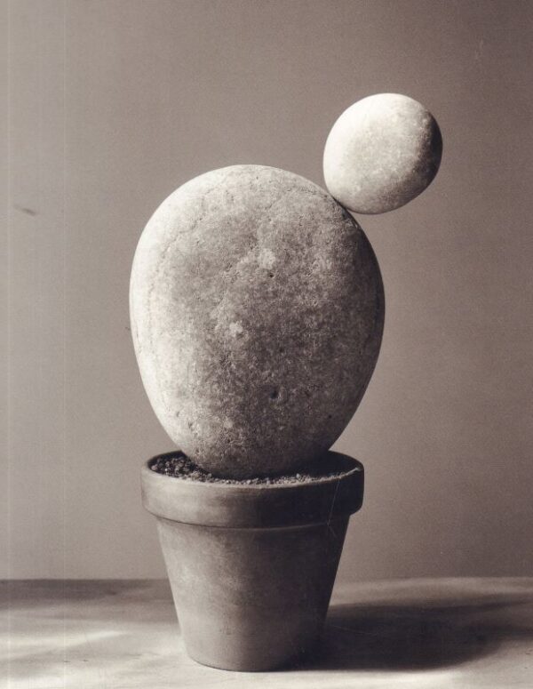 (SOLD): MADOZ, Chema.  Angle de Reflexion. - Image 3